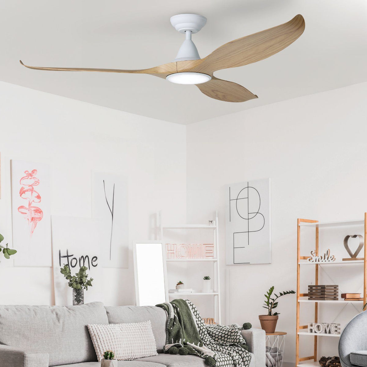 Noosa 60"/152cm Blackbutt and White with LED Light DC Motor Ceiling Fan