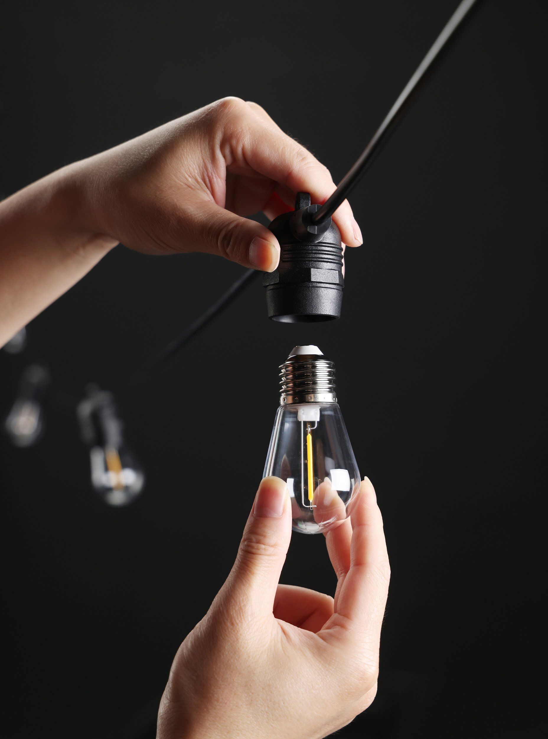 Festoon Extension Black with 10-Light Multi-Colour