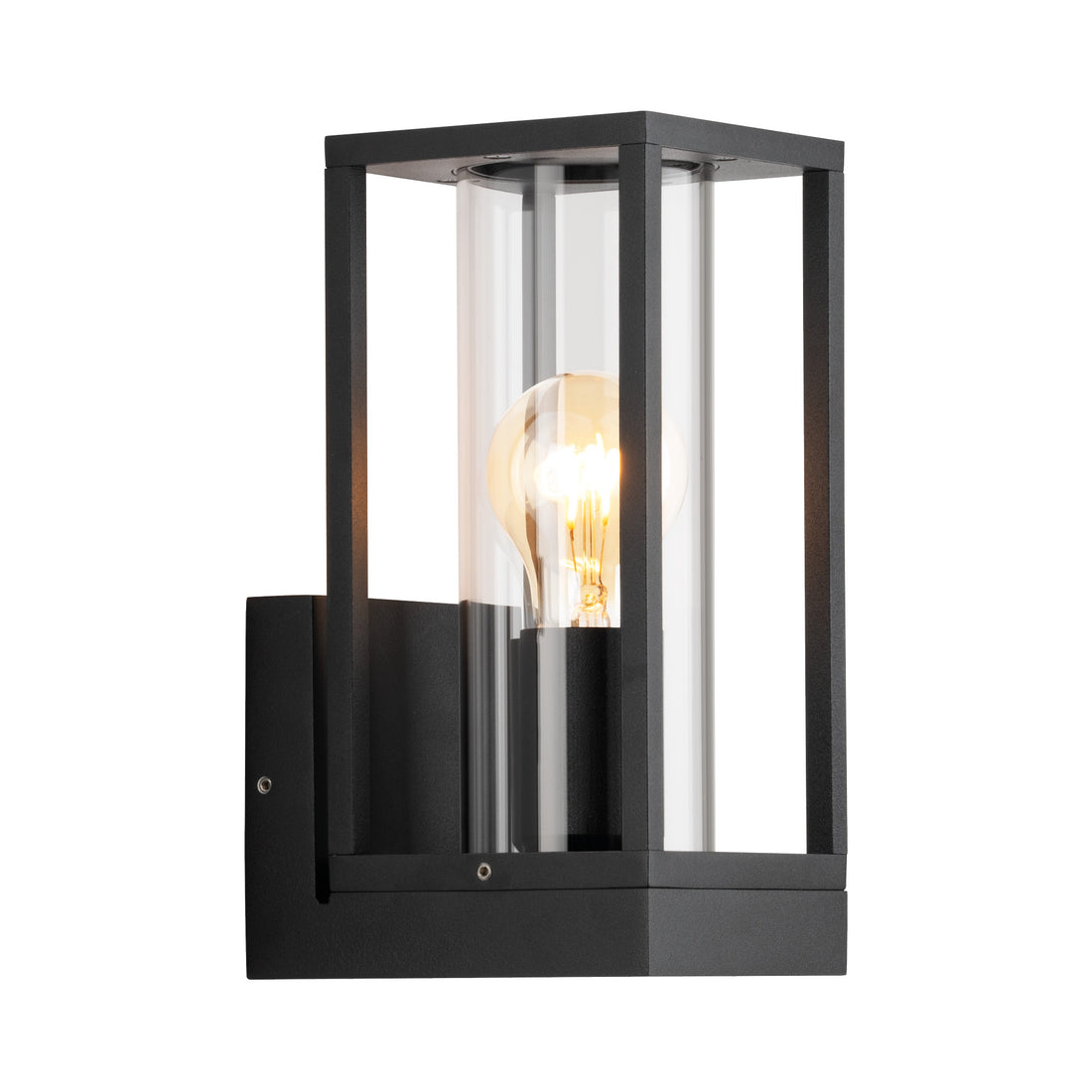 Eleanor Black Box with Glass Exterior Wall Light