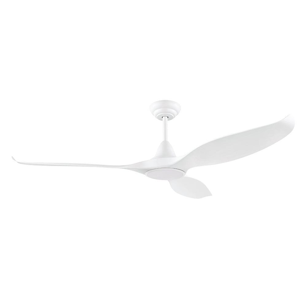 Noosa 60"/152cm White DC Motor Ceiling Fan with LED Light