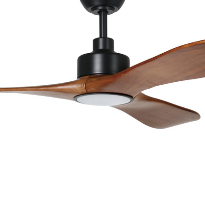 Currumbin Black Fan LED Tri-Colour Light Kit - 20619502