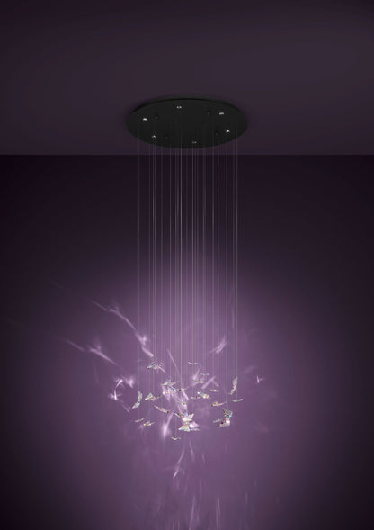 Adrados Black and Crystal Butterfly 580mm LED Contemporary Pendant