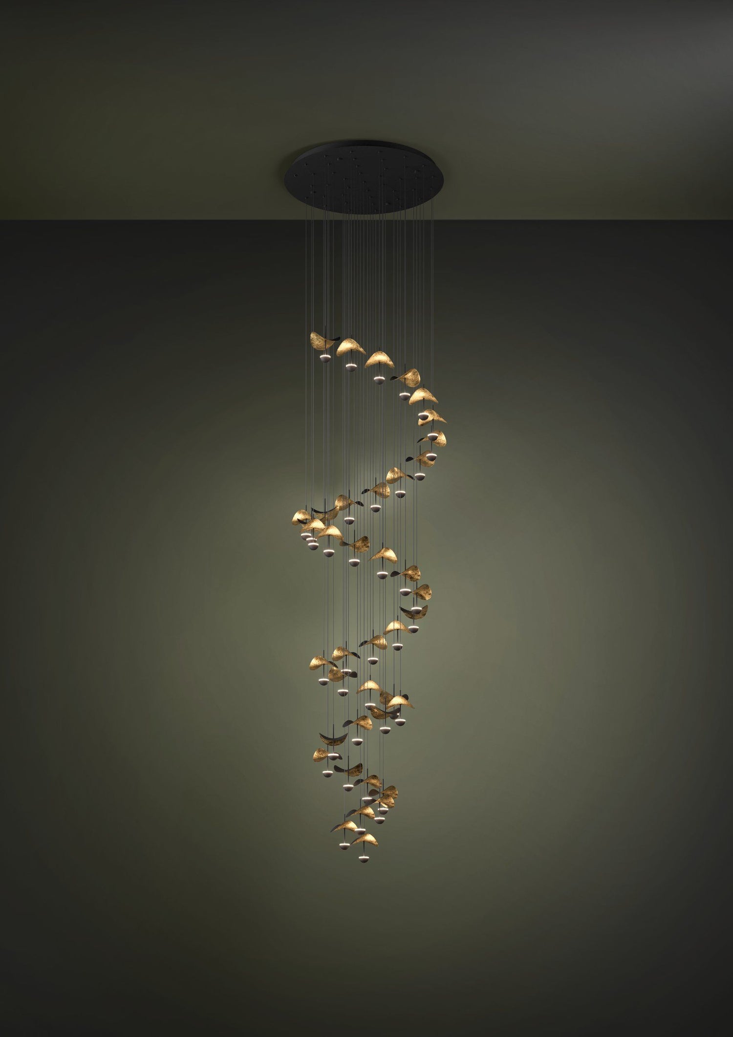 Dracera 40 Light Black and Gold Contemporary Spiral Pendant