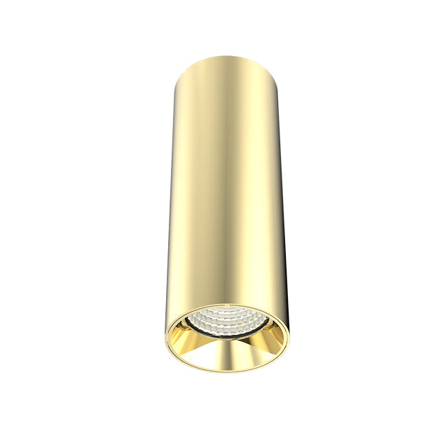 Propus 10 Gold 15w Tri-Colour LED Surface Mounted Downlight