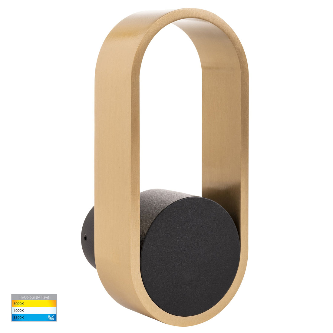 Ovale Brass with Black Modern Indoor LED Wall Light