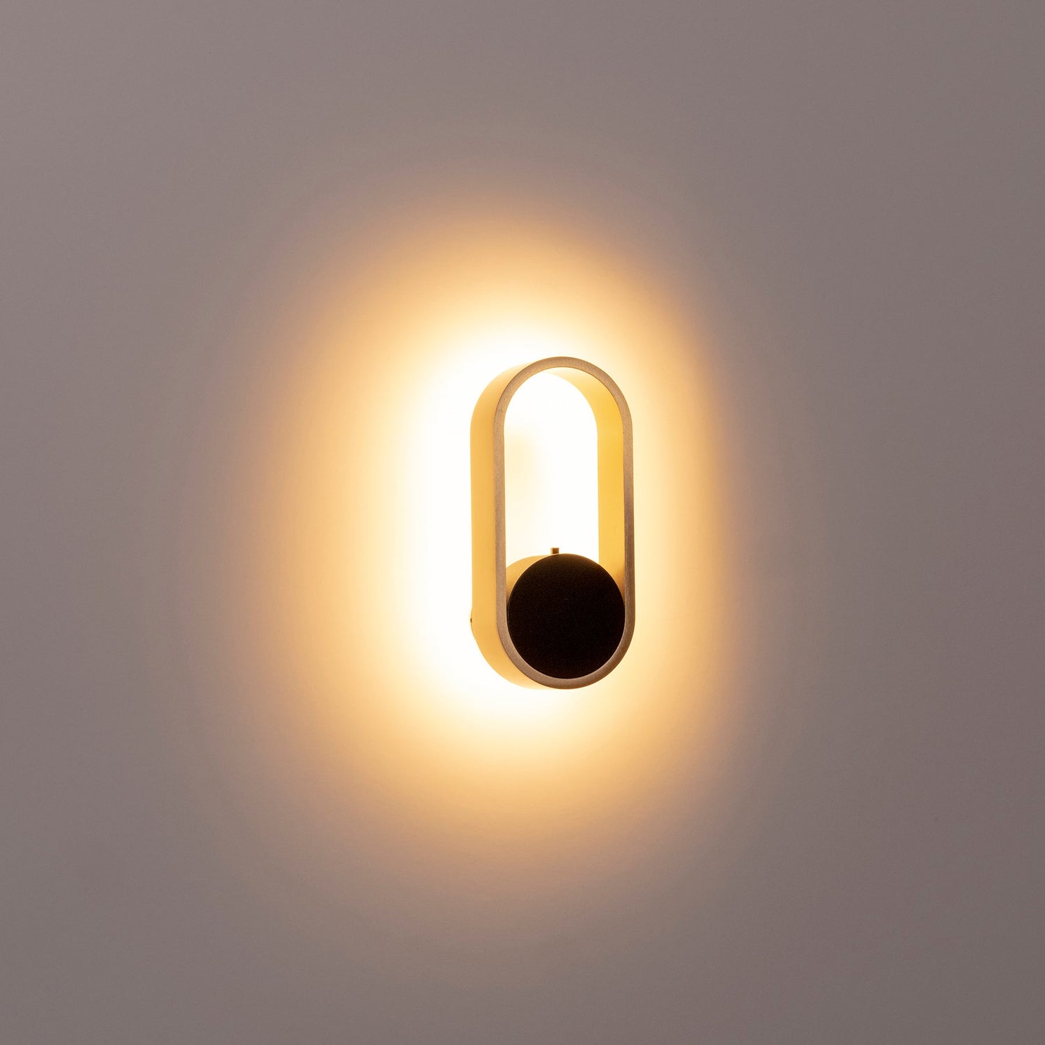 Ovale Brass with Black Modern Indoor LED Wall Light