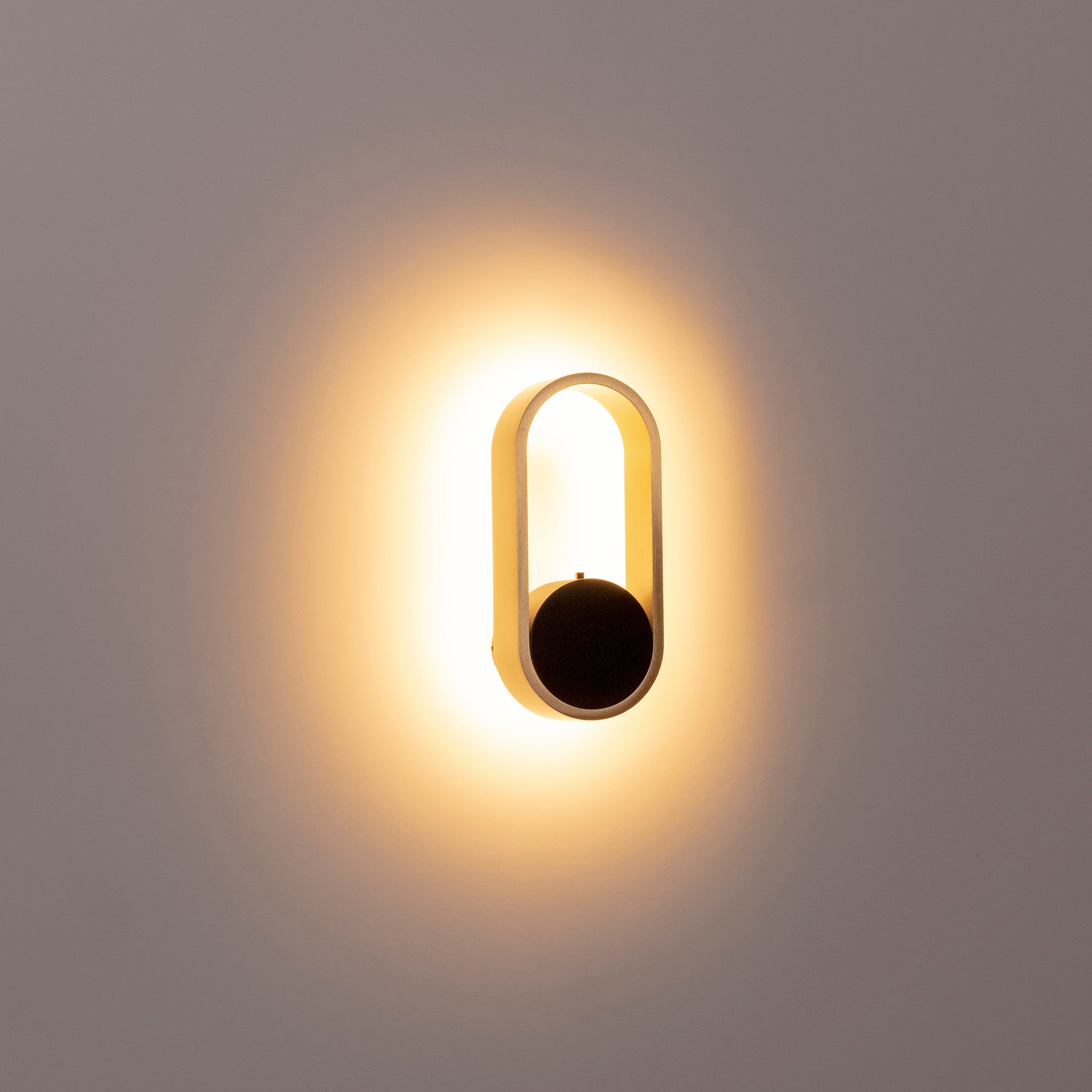 Ovale Brass with Black Modern Indoor LED Wall Light