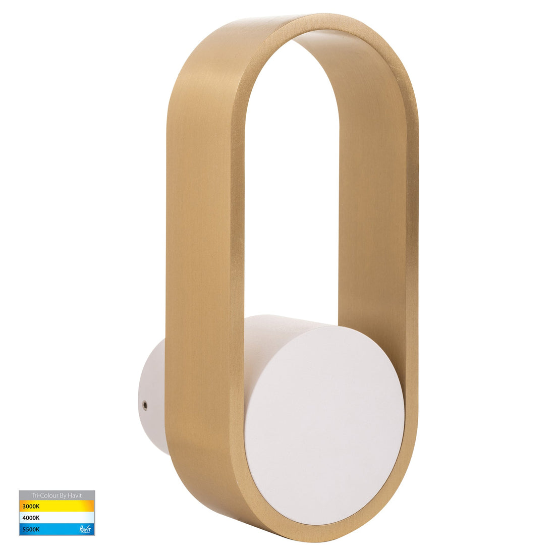 Ovale Brass with White Modern Indoor LED Wall Light