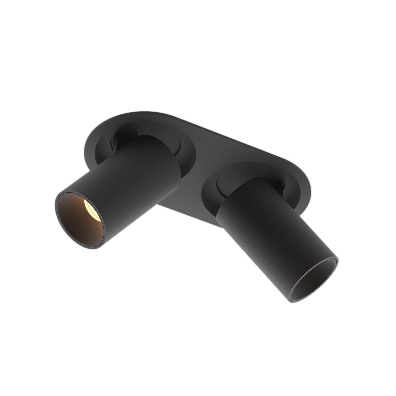 Telescope Duo Black Adjustable 2x12w Recessed Downlight and Spotlight