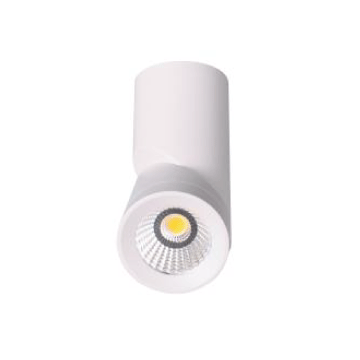 DL2034 12w 3000k LED White Adjustable Surface Mounted Downlight