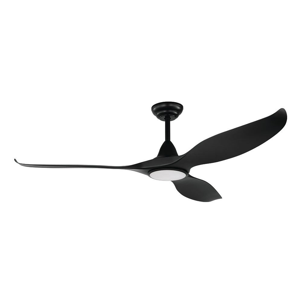 Noosa 60"/152cm Black DC Motor Ceiling Fan with LED Light
