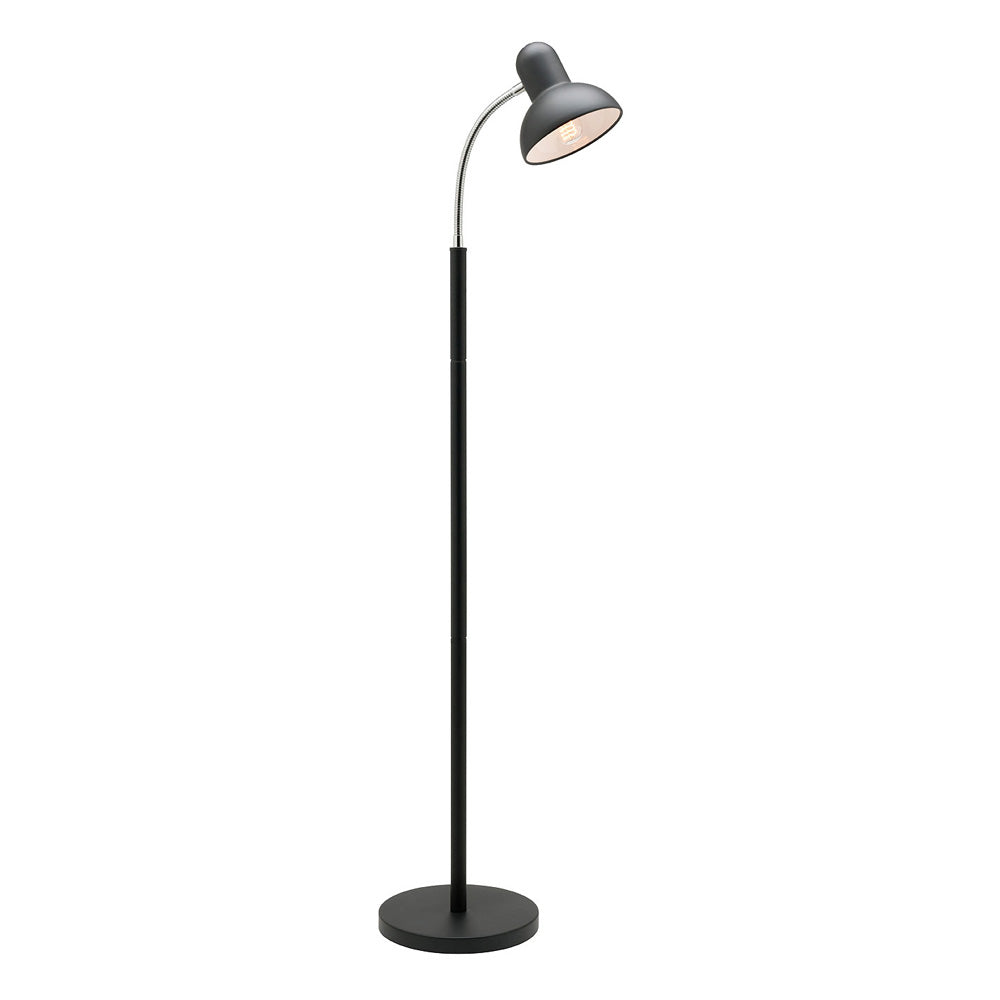 Ben Black Adjustable Gooseneck Floor Lamp