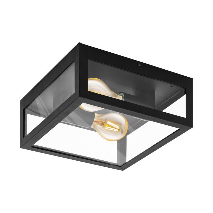 Alamonte 1 Two Light Outdoor Black and Glass Modern Ceiling Light