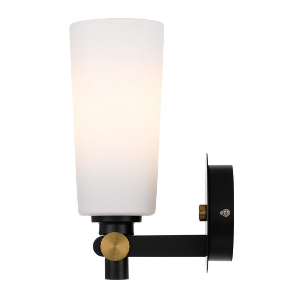 Delmar Black and Opal Matt Industrial Modern Wall Light