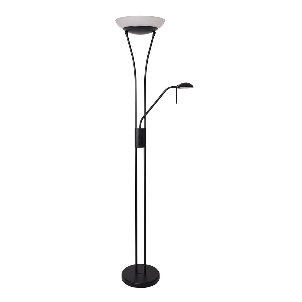 Reed Black Mother and Child LED Floor Lamp