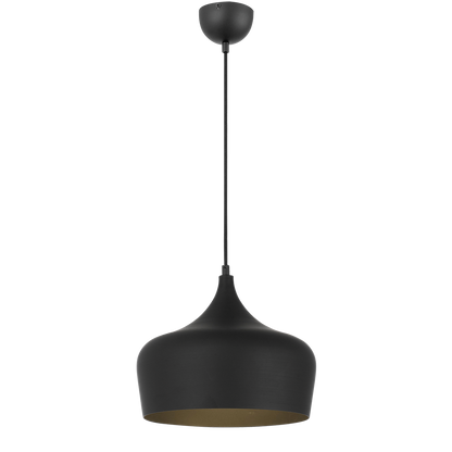 Polk 30 Black with Black Modern Pendant